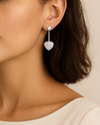 Prelze - Earnings Prelze - Earnings